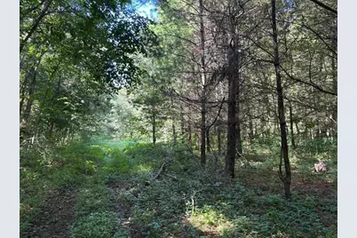 43167 Guthrie Drive, Gays Mills, WI 54631 - Photo 32