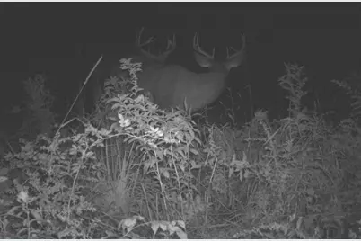 43167 Guthrie Drive, Gays Mills, WI 54631 - Photo 24