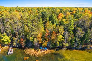 17801 E Wheeler Lake Ln, Lakewood, WI 54138 - Photo 4