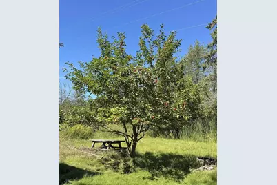 N8193 M35, Cedar River, MI 49887 - Photo 16