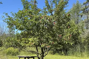 N8193 M-35, Cedar River, MI 49887 - Photo 16