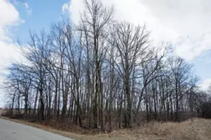 Nelson Rd, Fond du Lac, WI 54937 - Photo 2