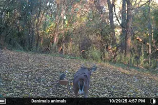 2780 Humboldt Rd, Green Bay, WI 54311 - Photo 48