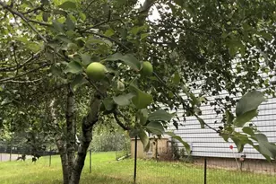 N9960 Meadowlark Ln, Crivitz, WI 54114 - Photo 40