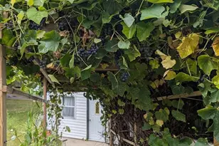 N9960 Meadowlark Ln, Crivitz, WI 54114 - Photo 42