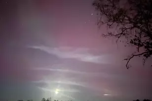 W5965 Gureski Rd, Pickerel, WI 54465 - Photo 32