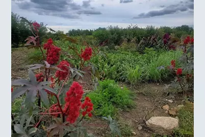 4160 Jackson Street, Oshkosh, WI 54901 - Photo 4