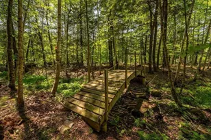 N12203 Bear Cave Rd, Athelstane, WI 54104 - Photo 10