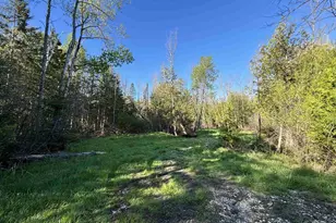 15 Mikuchonis Ln, Menominee, MI 49858 - Photo 1