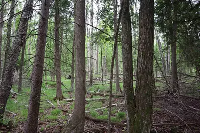 15 Mikuchonis Lane, Menominee, MI 49858 - Photo 6