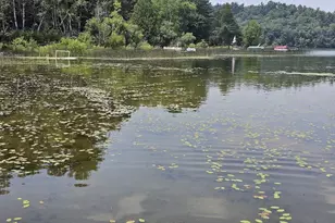 W6714 Porters Lake Rd, Wautoma, WI 54982 - Photo 4