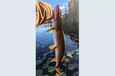 N5978 W Alaska Lake Road, Algoma, WI 54201 - Photo 40