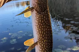 N5978 W Alaska Lake Rd, Algoma, WI 54201 - Photo 40