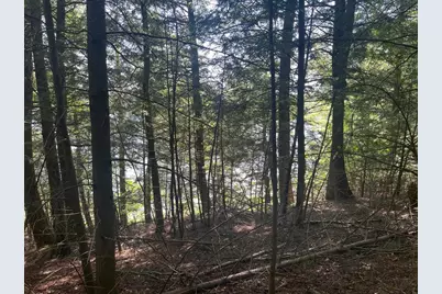 17197 Patti Lane, Townsend, WI 54175 - Photo 1