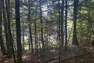 17197 Patti Ln, Townsend, WI 54175 - Photo 1