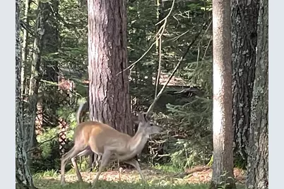 N18799 Old County A Road, Dunbar, WI 54119 - Photo 18