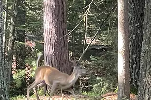 N18799 Old County A Rd, Dunbar, WI 54119 - Photo 18