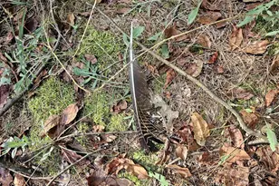 9028 County Rd N, Almond, WI 54909 - Photo 8