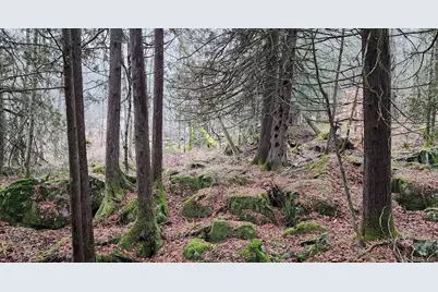 14980 Loon Rapids Road, Mountain, WI 54149 - Photo 38