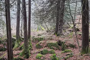 14980 Loon Rapids Rd, Mountain, WI 54149 - Photo 38