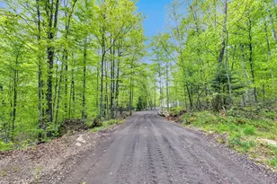 14980 Loon Rapids Rd, Mountain, WI 54149 - Photo 32