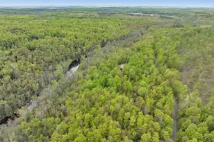 14980 Loon Rapids Rd, Mountain, WI 54149 - Photo 42