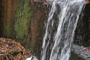 14980 Loon Rapids Rd, Mountain, WI 54149 - Photo 36