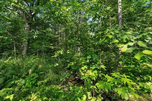 W6380 Co Rd K, Amberg, WI 54102 - Photo 48