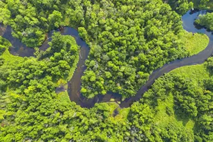 15789 Hickory Ln, Mountain, WI 54149 - Photo 32