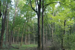 E853 Bestul Rd, Scandinavia, WI 54977 - Photo 74