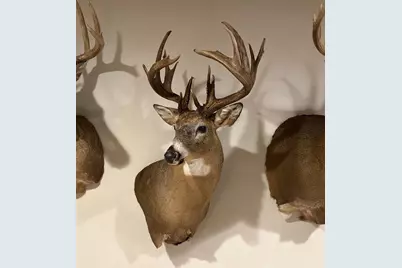 N13067 12th Avenue, Necedah, WI 54646 - Photo 24