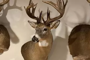 N13067 12th Ave, Necedah, WI 54646 - Photo 24