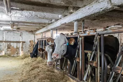 W4971 Drees Road, Peshtigo, WI 54157 - Photo 22