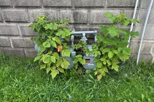 914 N Van Buren St, Green Bay, WI 54302 - Photo 4