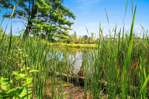 N2461 Old Cedar Way, Peshtigo, WI 54157 - Photo 40