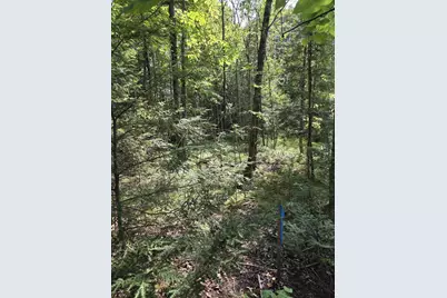 W7793 Bergeson Lane, Amberg, WI 54102 - Photo 6