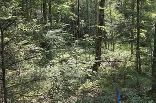 W7793 Bergeson Ln, Amberg, WI 54102 - Photo 6