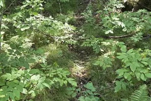 W7793 Bergeson Ln, Amberg, WI 54102 - Photo 8