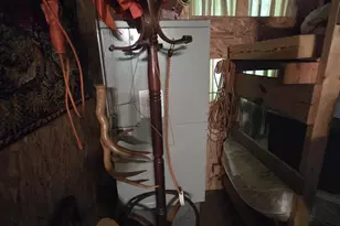 W7793 Bergeson Ln, Amberg, WI 54102 - Photo 12