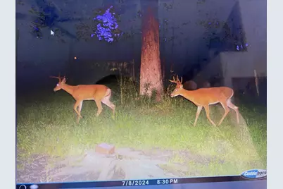 W5611 Gravelly Brook Road, Porterfield, WI 54159 - Photo 38