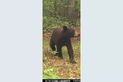 W5611 Gravelly Brook Road, Porterfield, WI 54159 - Photo 36