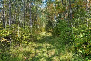 W7456 Coffee Creek Rd, Tomahawk, WI 54487 - Photo 16