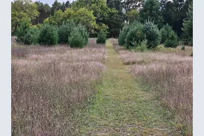 N459 County Road U, Weyauwega, WI 54983 - Photo 58