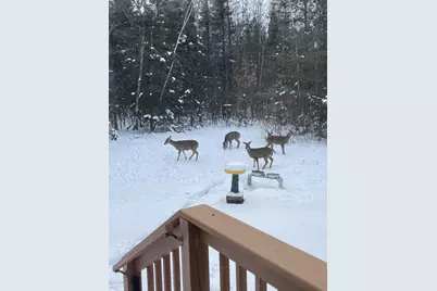 N13403 US Highway 141, Wausaukee, WI 54177 - Photo 42