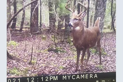 3597 N Cty Rd J, Edgerton, WI 54486 - Photo 2