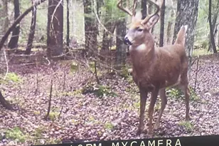 3597 N Cty Rd J, Edgerton, WI 54486 - Photo 2