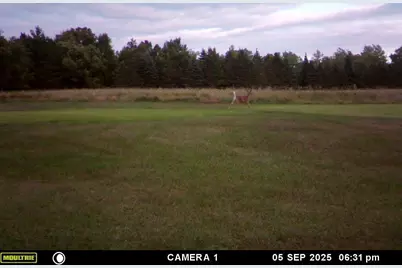 3597 N Cty Rd J, Edgerton, WI 54486 - Photo 82