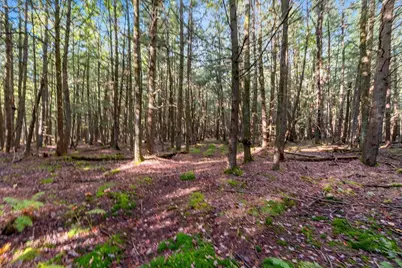 3597 N Cty Rd J, Edgerton, WI 54486 - Photo 72