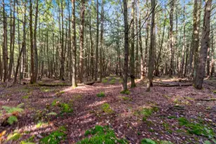 3597 N Cty Rd J, Edgerton, WI 54486 - Photo 72