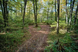 6883 Little Long Lk Ln, Wabeno, WI 54466 - Photo 54